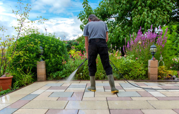 Best Animal Enclosure Cleaning  in Moundridge, KS